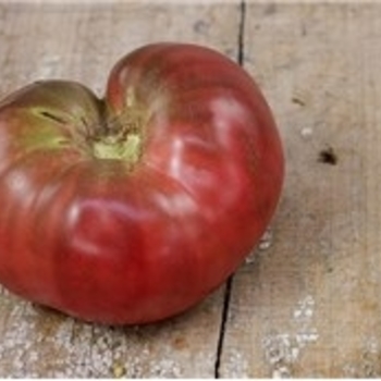 Tomato - Heirloom - Black Krim
