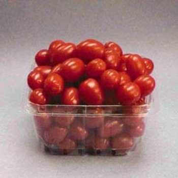 Tomato - Cherry - Jelly Bean