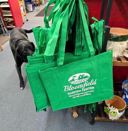 Kadie checking out our bags