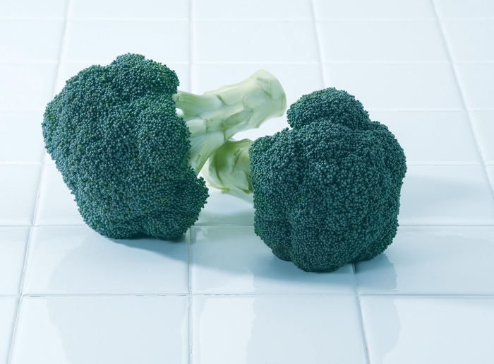 Green Magic - Broccoli from Bloomfield Garden Center