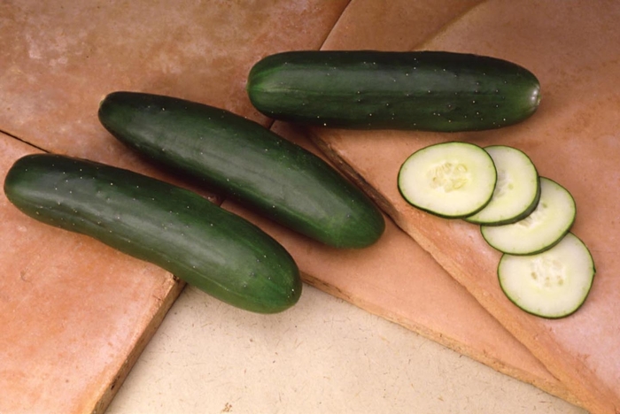 Straight 8 - Cucumber Slicer from Bloomfield Garden Center Straight 8 - Cucumber Slicer from Bloomfield Garden Center