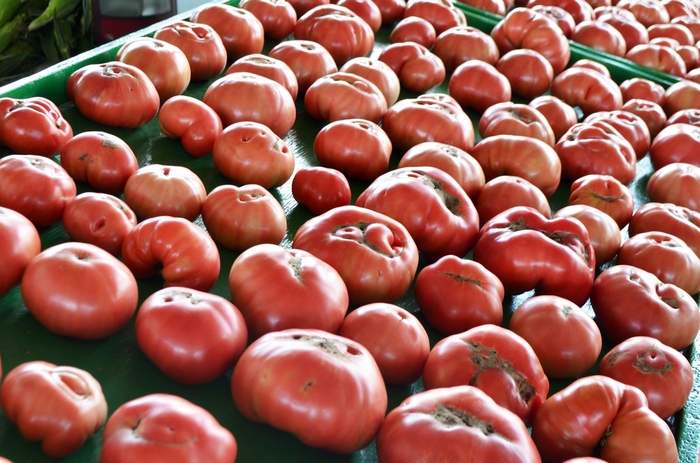 German Johnson - Tomato - Heirloom from Bloomfield Garden Center