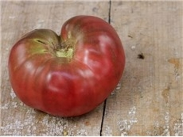 Black Krim - Tomato - Heirloom from Bloomfield Garden Center