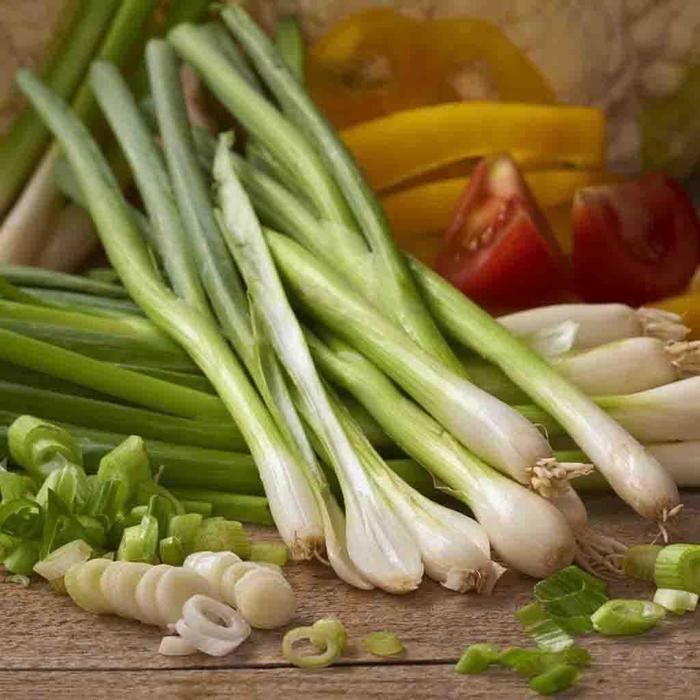 White Lisbon - Onion Bunching from Bloomfield Garden Center