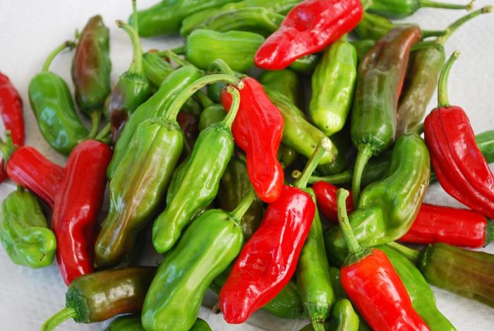 Pepperoncini (Greek) - Pepper - Sweet Non-Bell from Bloomfield Garden Center