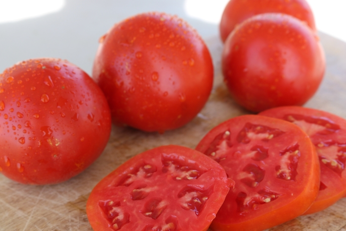 Celebrity Plus - Tomato - Slicer from Bloomfield Garden Center