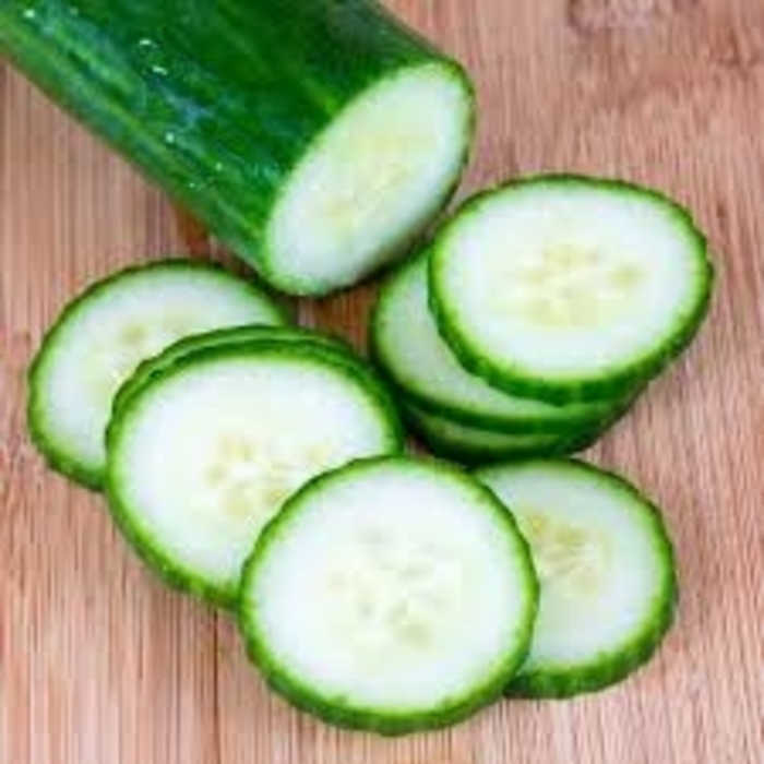 Burpless Bush - Cucumber - Burpless from Bloomfield Garden Center