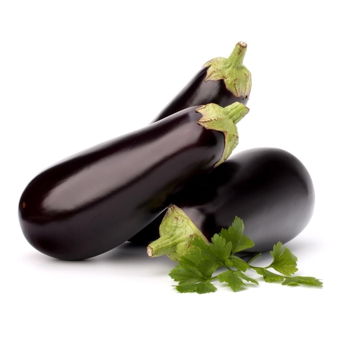 Classic - Eggplant from Bloomfield Garden Center