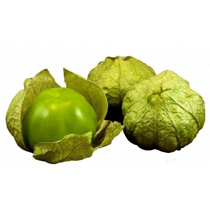 Tomatillo Verde - Tomatillo from Bloomfield Garden Center