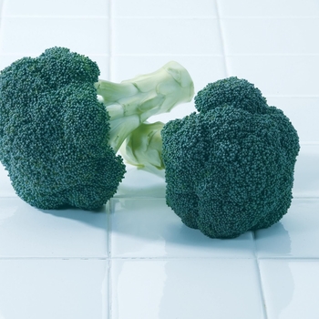 Broccoli - Green Magic 