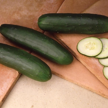Cucumber Slicer - Straight 8