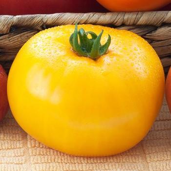 Tomato - Slicer - Lemon Boy