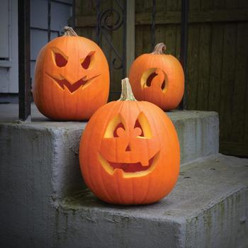 Pumpkin - Jack O'Lantern