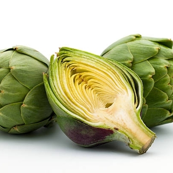 Artichoke - Tavor