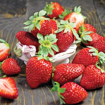 Strawberry - Everbearing - Fort Laramie 