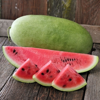 Watermelon - Charleston Gray