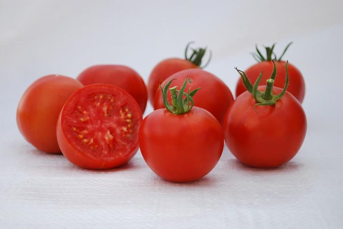 'Manitoba' Tomato - Tomato - Heirloom from Bloomfield Garden Center