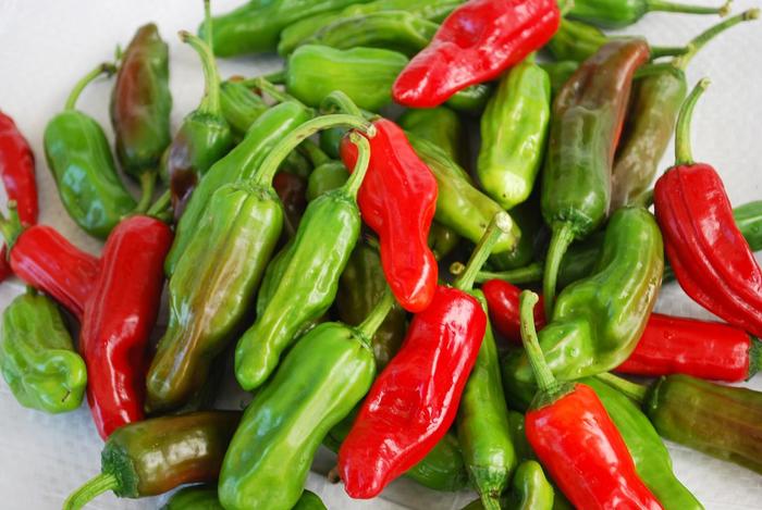 Pepperoncini (Greek) - Pepper - HOT from Bloomfield Garden Center